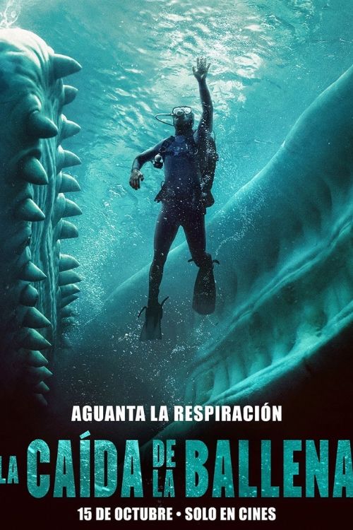 Imagen Más Noticias